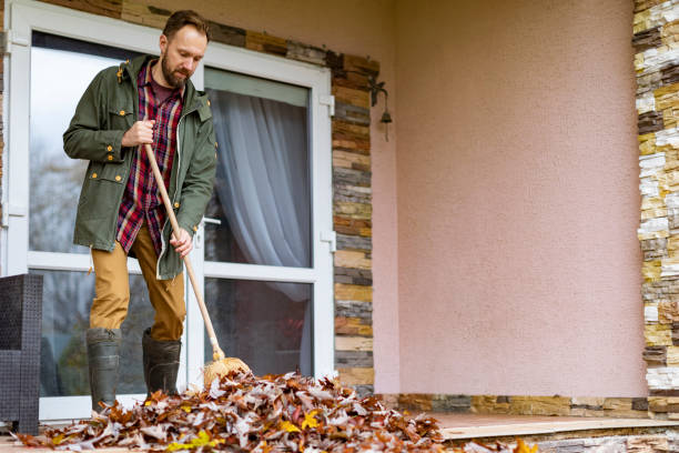 Best Yard Waste Removal  in Chicago Ridge, IL